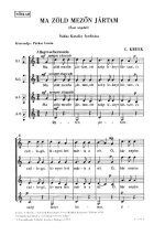 MA ZOLD MEZON JARTAM CHANT