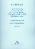 ADAGIO FUR EINE SPIELUHR WOO 33-1