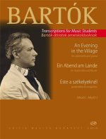 EIN ABEND AM LANDE VIOLONCELLE