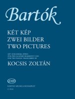 ZWEI BILDER OP. 10 PIANO