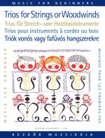 KAMMERMUSIK FUR ANFANGER II MUSIQUE D'ENSEMBLE