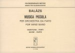 MUSICA PICCOLA CONCERT BAND/HARMONIE/FANFARE