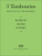 3 TAMBOURINS FLUTE TRAVERSIERE