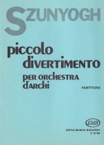 PICCOLO DIVERTIMENTO ORCHESTRE