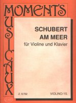 AM MEER VIOLON