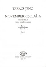 NOVEMBER CSODAJA