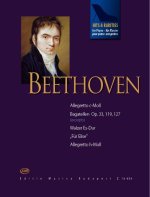 HITS & RARITIES FUR KLAVIER - BEETHOVEN PIANO