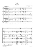 TEL CHANT
