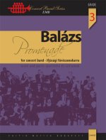 PROMENADE CONCERT BAND/HARMONIE/FANFARE-PARTITION+PARTIES SEPAREES