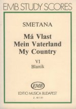 MEIN VATERLAND ORCHESTRE