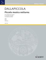 PICCOLA MUSICA NOTTURNA