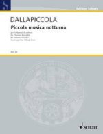 PICCOLA MUSICA NOTTURNA