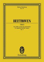 TRIO OP. 3 MI B POCHE