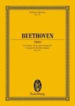 TRIO OP. 9 N. 1 SOL POCHE