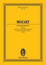 DIVERTIMENTO ES KV563 POCHE