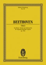 TRIO OP. 70 N. 2 MI B. POCHE