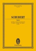 KLAVIERTRIO ES OP.100 D929 POCHE