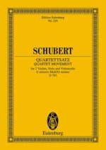 QUARTETTSATZ DO M. OP. POST. (D 703) POCHE