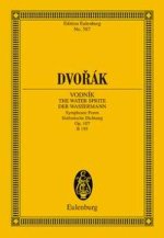 WASSERMAN OP.107 POCHE