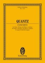 CONCERTO PER FL SOL (SCHROEDER) POCHE