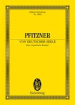 A GERMAN SOUL OP. 28 POCHE