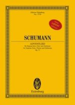 ADVENTLIED OP. 71 POCHE
