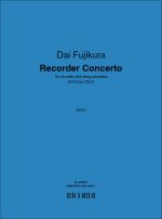 RECORDER CONCERTO FLUTE A BEC