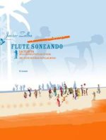 FLUTE SONEANDO FLUTE TRAVERSIERE +CD
