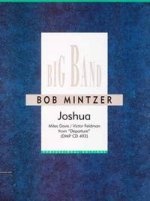 JOSHUA -PARTITION+PARTIES SEPAREES