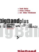 FUNK UNITY -PARTITION+PARTIES+CD