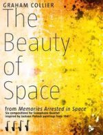THE BEAUTY OF SPACE -PARTITION+PARTIES SEPAREES