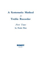 SYSTEMATIC METHOD FLUTE A BEC