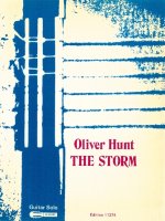 THE STORM GUITARE