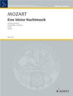 EINE KLEINE NACHTMUSIK FLUTE TRAVERSIERE