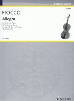 ALLEGRO VIOLON