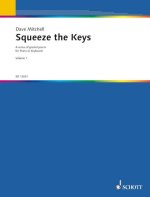 SQUEEZE THE KEYS PIANO