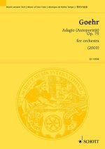 ADAGIO (AUTOPORTRAT) OP. 75 ORCHESTRE