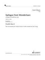 EPILOGUE FROM WONDERLAWN