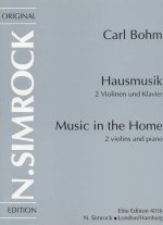 MUSIC IN THE HOME VIOLON