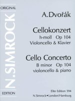 CONCERTO SI M. OP.104