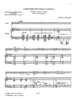 NEGRO SPRITUAL MELODY OP. 95 ORCHESTRE