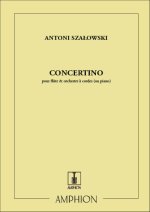 CONCERTINO FLUTE TRAVERSIERE