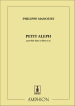 PETIT ALEPH FLUTE SEULE FLUTE TRAVERSIERE