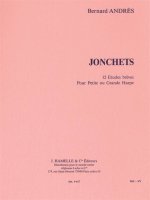 BERNARD ANDRES: JONCHETS (HARP SOLO)