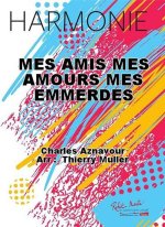 MES AMIS MES AMOURS MES EMMERDES