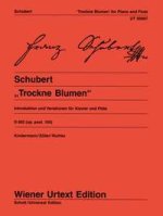 INTRODUZ.E VAR.OP.160(KINDERMANN/ZOELLER/RICHTER)