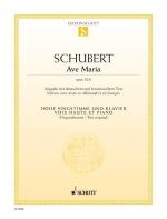 AVE MARIA OP. 52/6