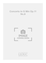 VIVALDI CONCERTO IN G MIN OP.11 NO.6 RV460 ENSEMBLE SCORE/PARTS