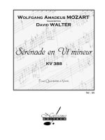 WOLFGANG AMADEUS MOZART: SERENADE IN C MINOR (WIND QUINTET)