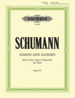 ADAGIO AND ALLEGRO OP.70